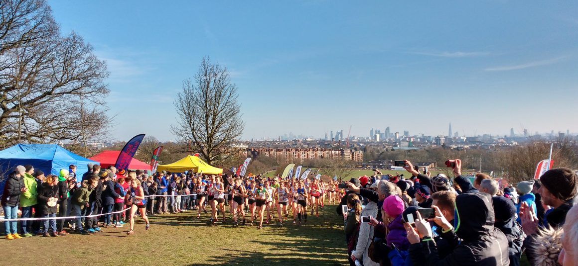 London Pride (Adam Cross)